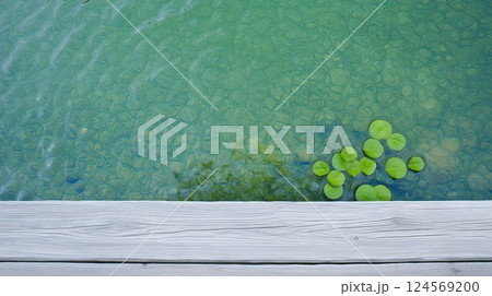Tranquil Pond Surface with Green Lily Pads and Clear Water Reflection in Natural Outdoor Scene 124569200