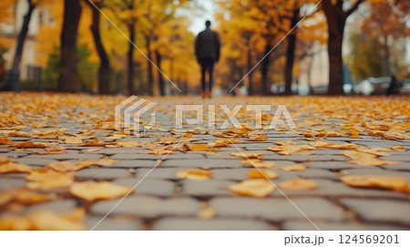 Person Walking Through Autumn Pathway Lined With Colorful Leaves Under Soft Natural Light In Fall Season 124569201