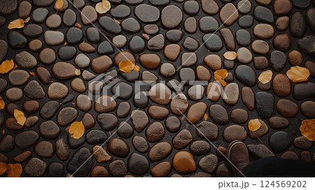 Textured Pebble Pathway with Autumn Leaves in Warm Tones and Soft Light on a Calm Fall Day 124569202