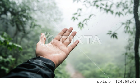 Hand Reaching Out Towards Nature in Foggy Forest Setting with Lush Greenery and Mysterious Atmosphere Hand Reaching Out Towards Nature in Foggy Forest Setting with Lush Greenery and Mysterious Atmosphere 124569248