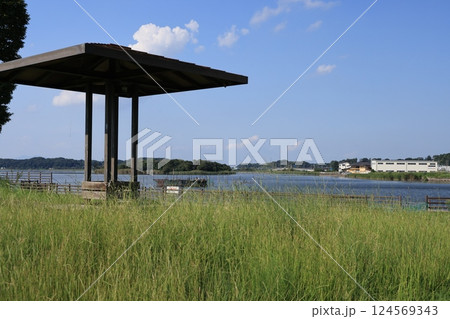 茨城県龍ケ崎市の牛久沼の風景 茨城県龍ケ崎市の牛久沼の風景 124569343