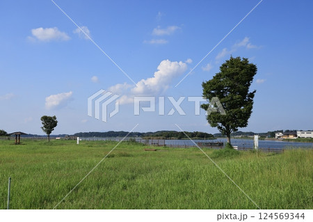 茨城県龍ケ崎市の牛久沼の風景 茨城県龍ケ崎市の牛久沼の風景 124569344
