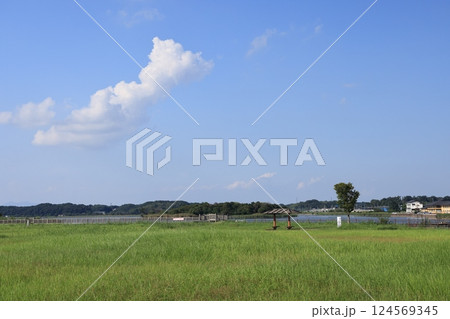 茨城県龍ケ崎市の牛久沼の風景 茨城県龍ケ崎市の牛久沼の風景 124569345