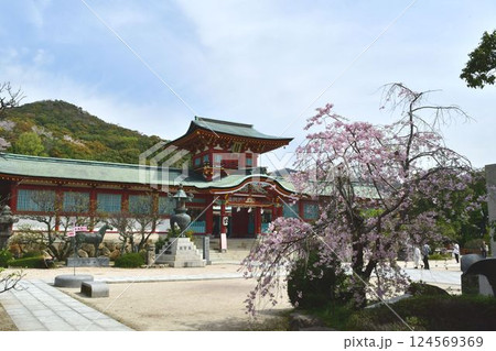 防府天満宮の桜 124569369