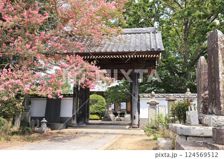 茨城県龍ケ崎市の天台宗般若院　金剛山観仏寺の風景 124569512