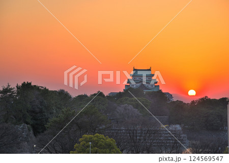 《愛知県》夕焼けに染まる名古屋城天守閣 124569547