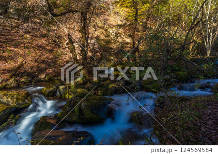 秋の長野県茅野市 紅葉の蓼科高原 滝ノ湯川 秋の長野県茅野市 紅葉の蓼科高原 滝ノ湯川 124569584