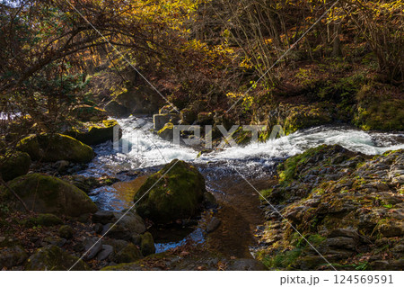 秋の長野県茅野市 紅葉の蓼科高原 滝ノ湯川 秋の長野県茅野市 紅葉の蓼科高原 滝ノ湯川 124569591