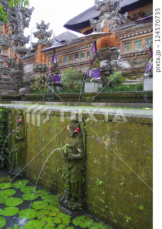 緻密な彫刻が美しいサラスワティー寺院 124570735