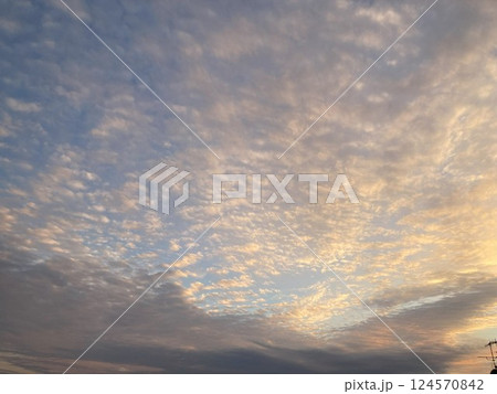 鱗雲 鱗雲 124570842