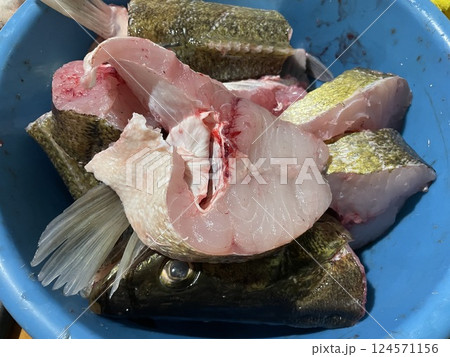 Fresh zander fish filleting on wooden board 124571156