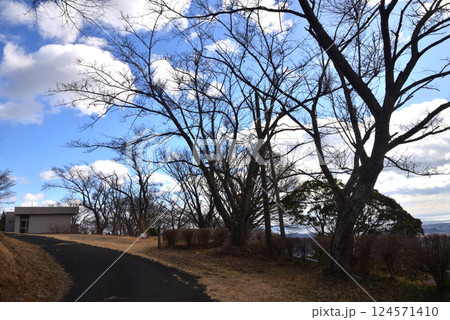 童謡の森ふれあいパーク　2025-2-11　＃9 124571410