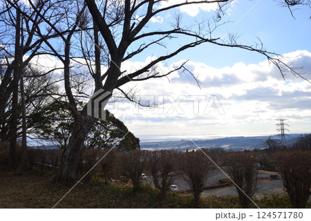 童謡の森ふれあいパーク 2025-2-11 #11 童謡の森ふれあいパーク 2025-2-11 #11 124571780