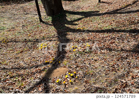 童謡の森ふれあいパーク　2025-2-11　＃20 124571789