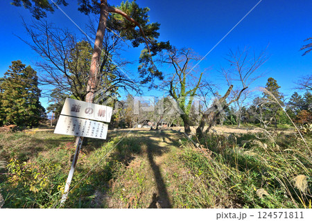 山梨　甲斐「新府城」曲輪の様子 124571811