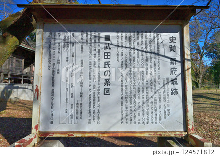 山梨 甲斐「新府城」曲輪の様子 山梨 甲斐「新府城」曲輪の様子 124571812