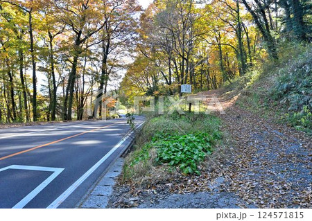 山梨 甲斐「新府城」曲輪の様子 山梨 甲斐「新府城」曲輪の様子 124571815