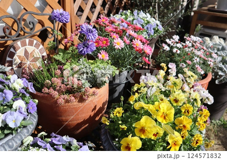 春の花の寄せ植え＆寄せ鉢 124571832