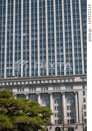 皇居前広場から見た高層ビルと松の木の風景 皇居前広場から見た高層ビルと松の木の風景 124572114