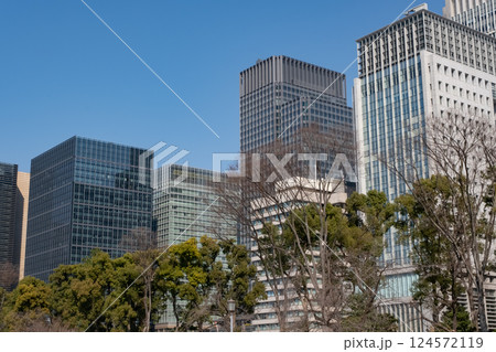 皇居前広場から見た高層ビル群 皇居前広場から見た高層ビル群 124572119