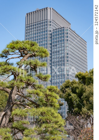 皇居前広場から見た高層ビルと松の木 皇居前広場から見た高層ビルと松の木 124572142