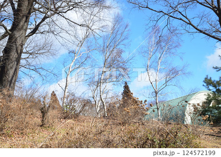 童謡の森ふれあいパーク　2025-2-11　＃21 124572199