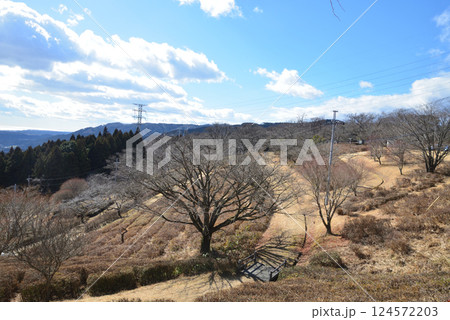 童謡の森ふれあいパーク　2025-2-11　＃25 124572203