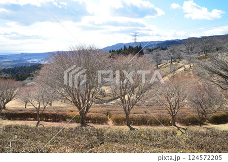 童謡の森ふれあいパーク　2025-2-11　＃27 124572205