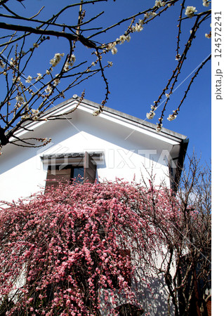 佐賀市歴史民俗館　歴史的建物群の町並み 124572241