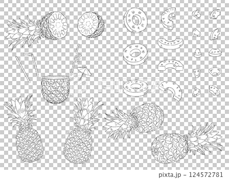 菠蘿線描插畫素材集_單色 菠蘿線描插畫素材集_單色 124572781
