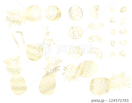 パイナップルの線画イラスト素材セット_ゴールド 124572783