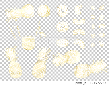 パイナップルの線画イラスト素材セット_ゴールド 124572783