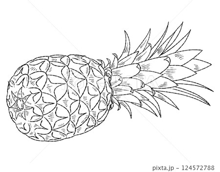 パイナップルの線画イラスト素材 124572788