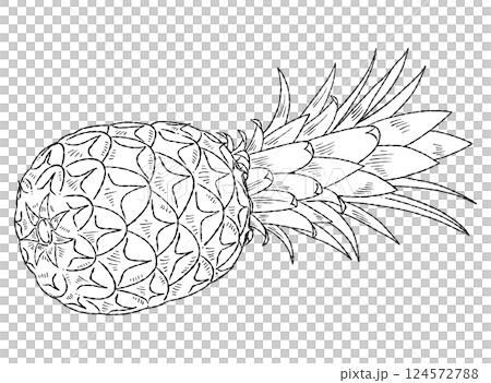 パイナップルの線画イラスト素材 124572788
