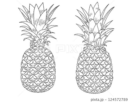 パイナップルの線画イラスト素材 124572789