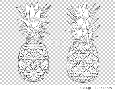 パイナップルの線画イラスト素材 124572789