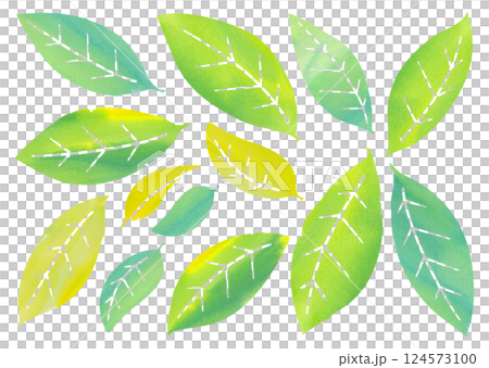 水彩タッチの葉っぱ バリエーション 124573100