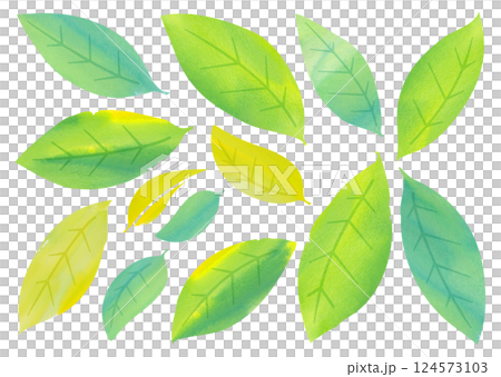 Watercolor leaf variations 124573103