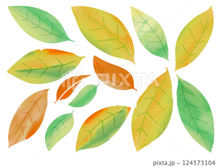水彩タッチの葉っぱ バリエーション 水彩タッチの葉っぱ バリエーション 124573104