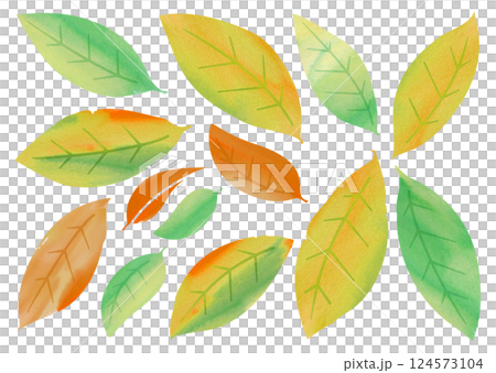 水彩タッチの葉っぱ バリエーション 水彩タッチの葉っぱ バリエーション 124573104