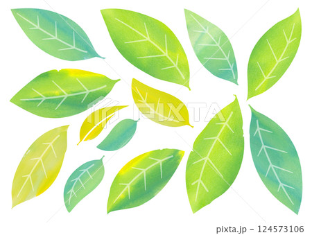 水彩タッチの葉っぱ バリエーション 水彩タッチの葉っぱ バリエーション 124573106