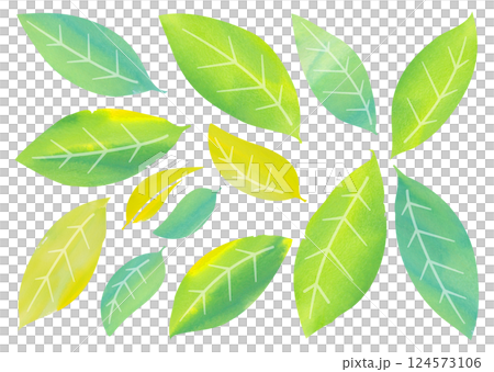 水彩タッチの葉っぱ バリエーション 水彩タッチの葉っぱ バリエーション 124573106