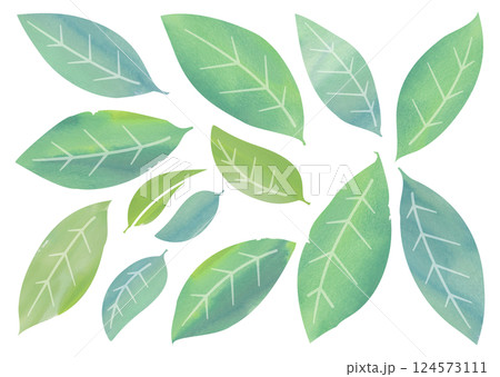 水彩タッチの葉っぱ バリエーション 124573111