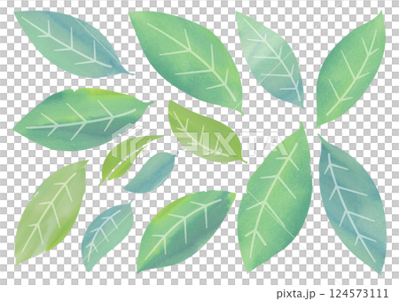 水彩タッチの葉っぱ バリエーション 124573111