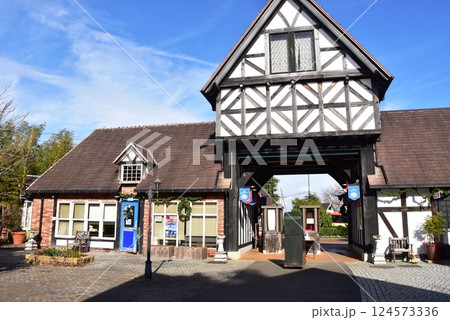 伊豆市　修善寺虹の郷のイギリス村と秋空 124573336