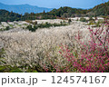 伊万里梅園　藤ノ尾　紅梅と梅林 124574167