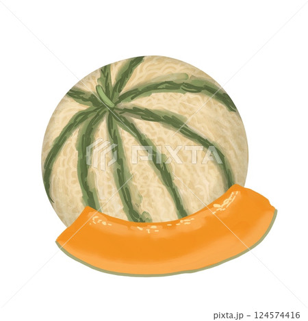Hand drawn illustration of muskmelon melon slice in white isolated background. Yellow green sweet tasty summer fruit, vegetable vegetarian vegan dessert, ripe nature food eating, healthy diet. 124574416