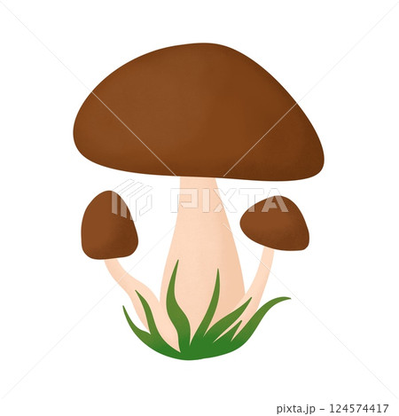 Hand drawn simple mushrooms, fungus forest wood fungi. brown woodland nature botanical illustration bolete chanterelle wild fall autumn edible cooking foraging. 124574417