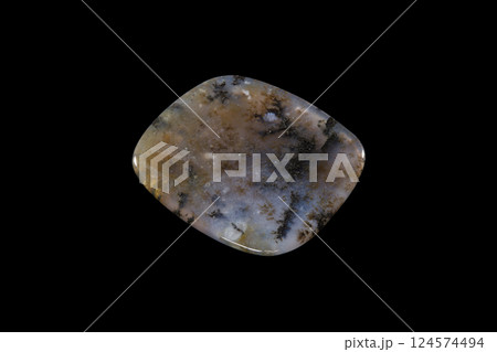 デンドリティック・アゲート 風景を宿す石 124574494