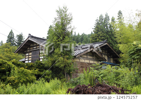 田舎の街道沿いからの風景 夏草が覆う古民家 124575257
